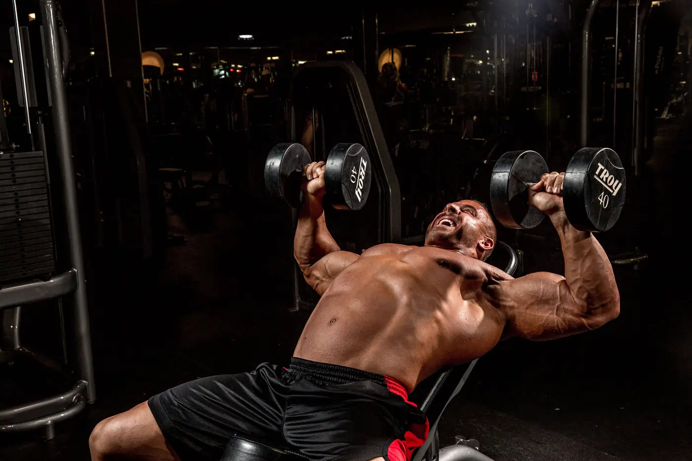Full-body Dumbbell Workouts: Is it Possible? You’ve Got Questions. We’ve Got Answers (and Workouts)!